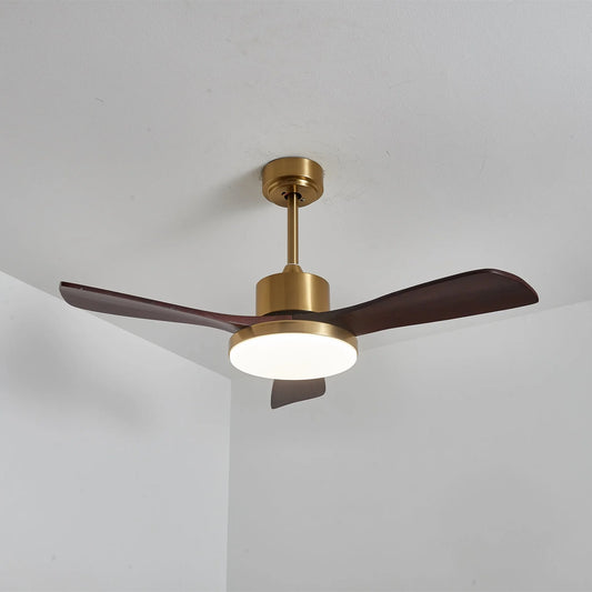 Aurevo Ceiling Fan Light