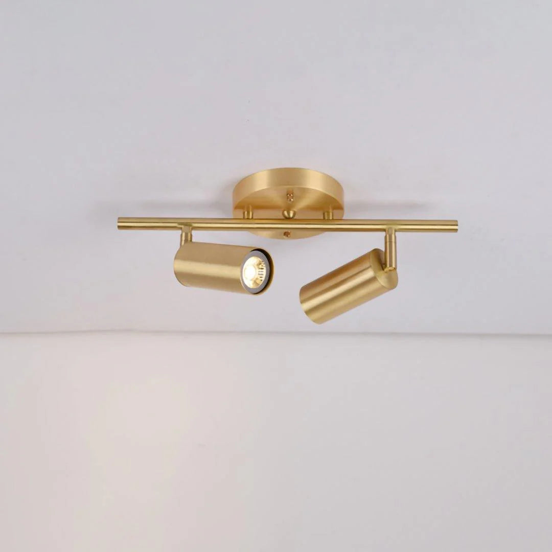 Cylinder Brass Series Ceiling Lamp