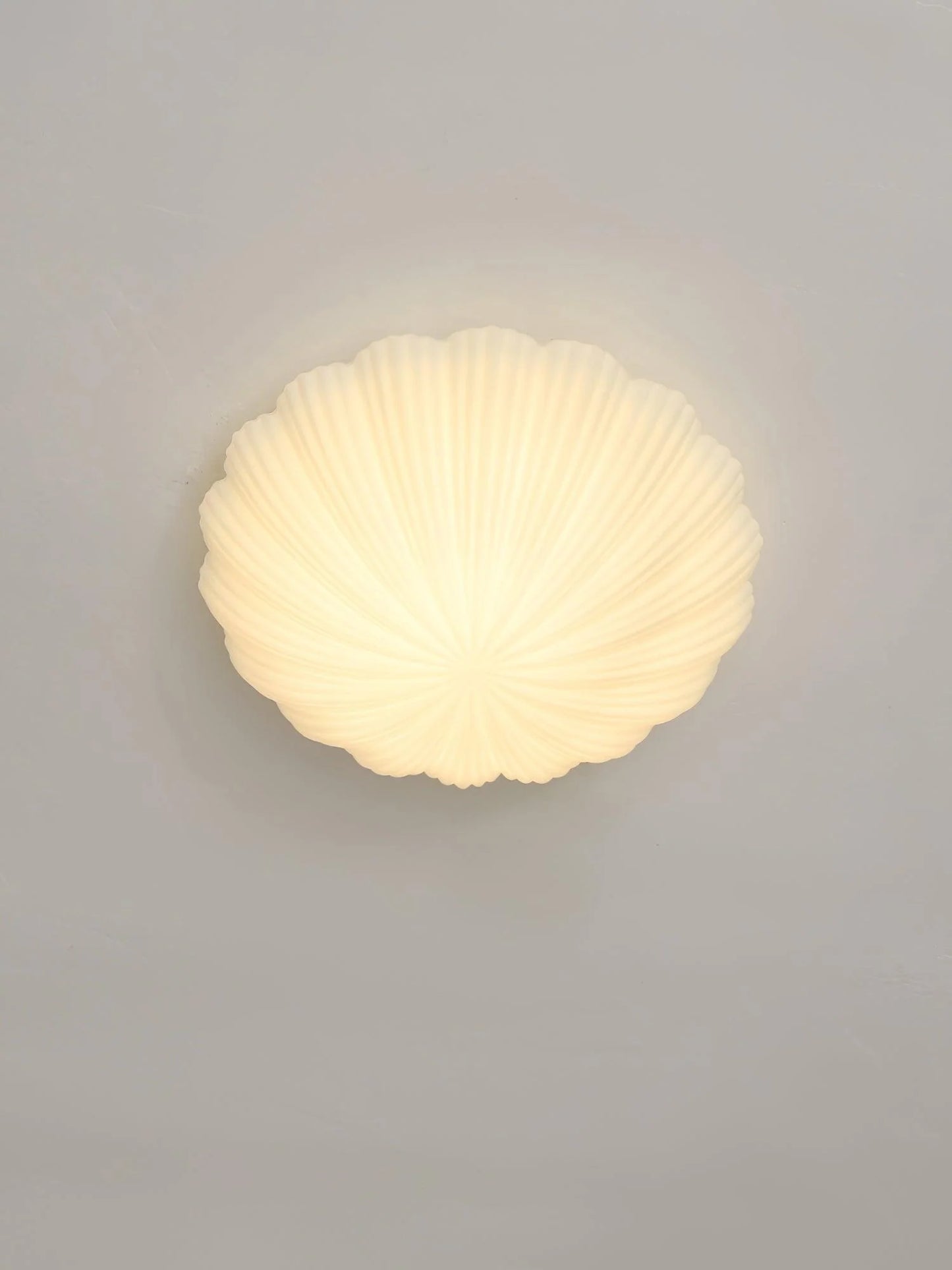 Devan Seashell Ceiling Lamp