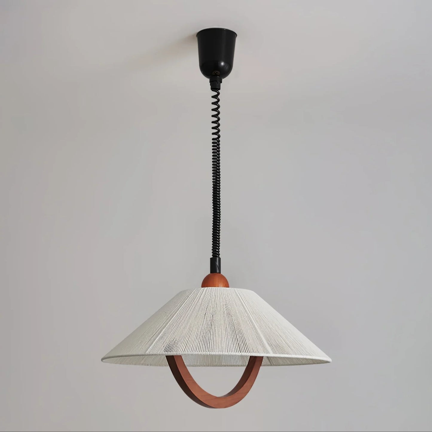 Nimbus Arc Pendant Light