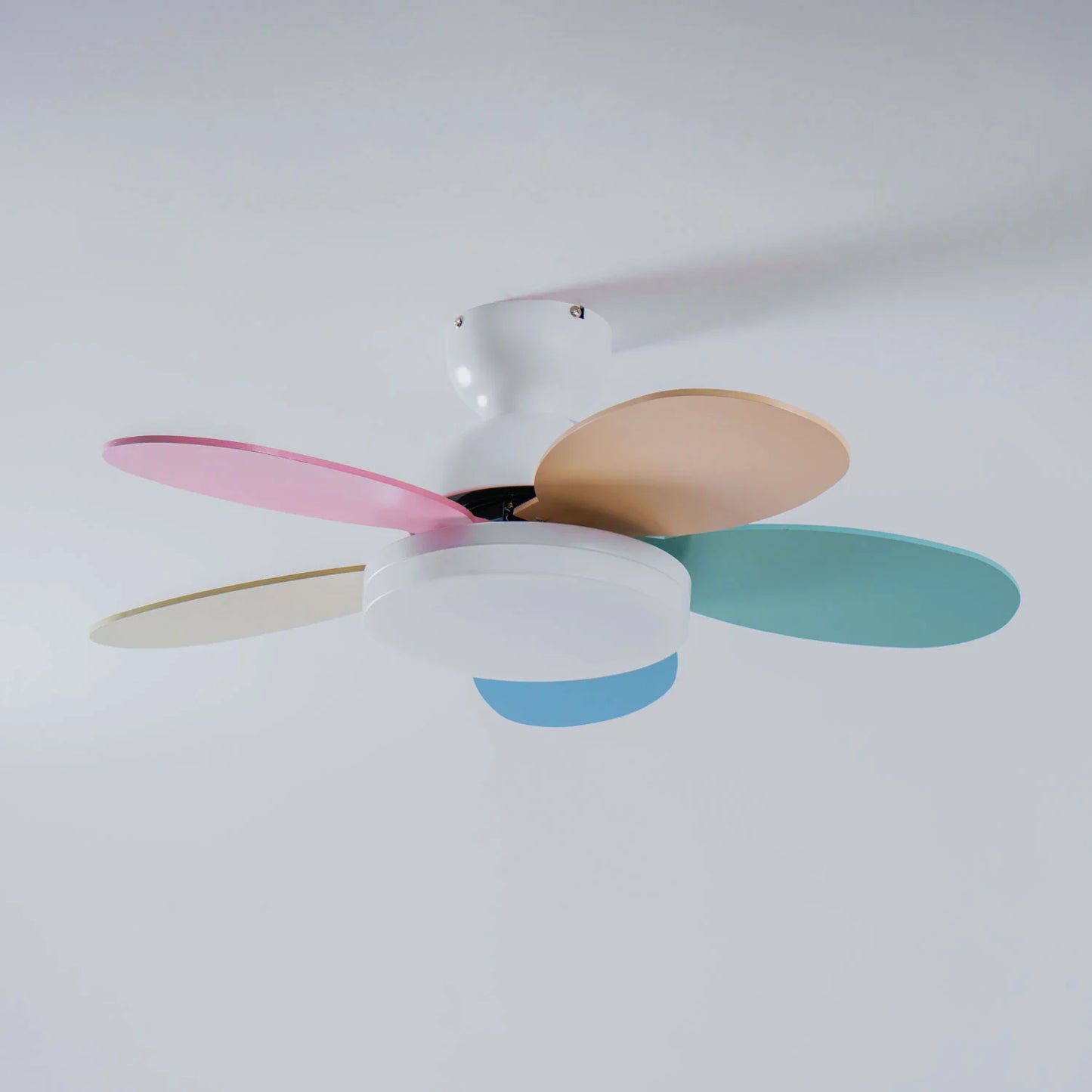 Petalo Ceiling Fan Light