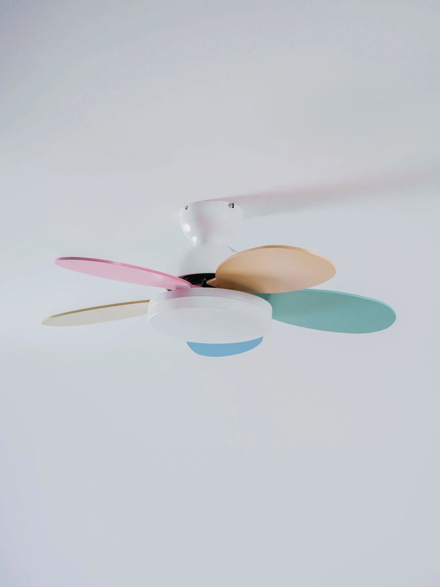Petalo Ceiling Fan Light