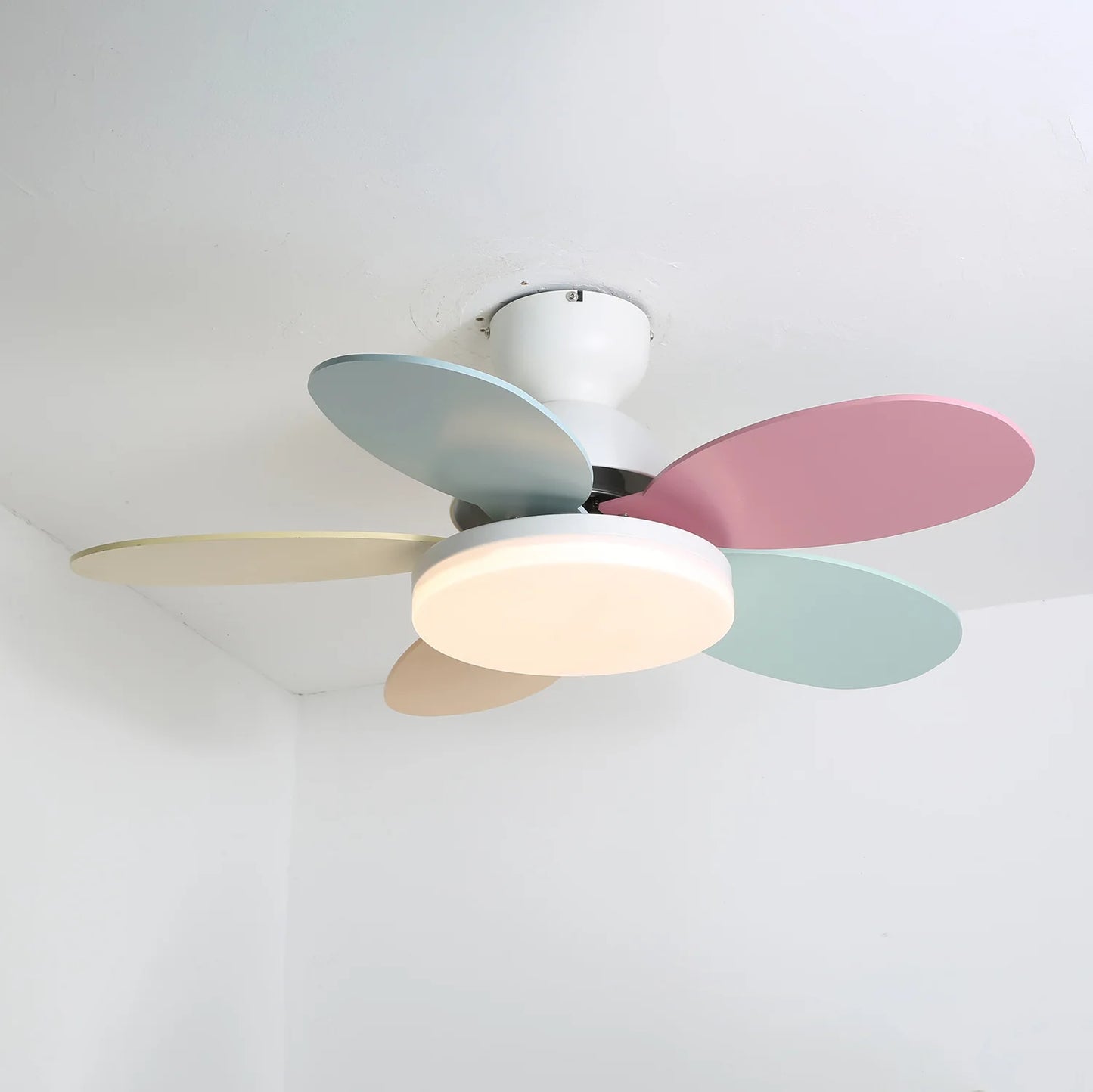 Petalo Ceiling Fan Light