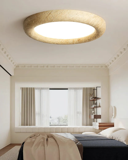 Concise Ceiling Light