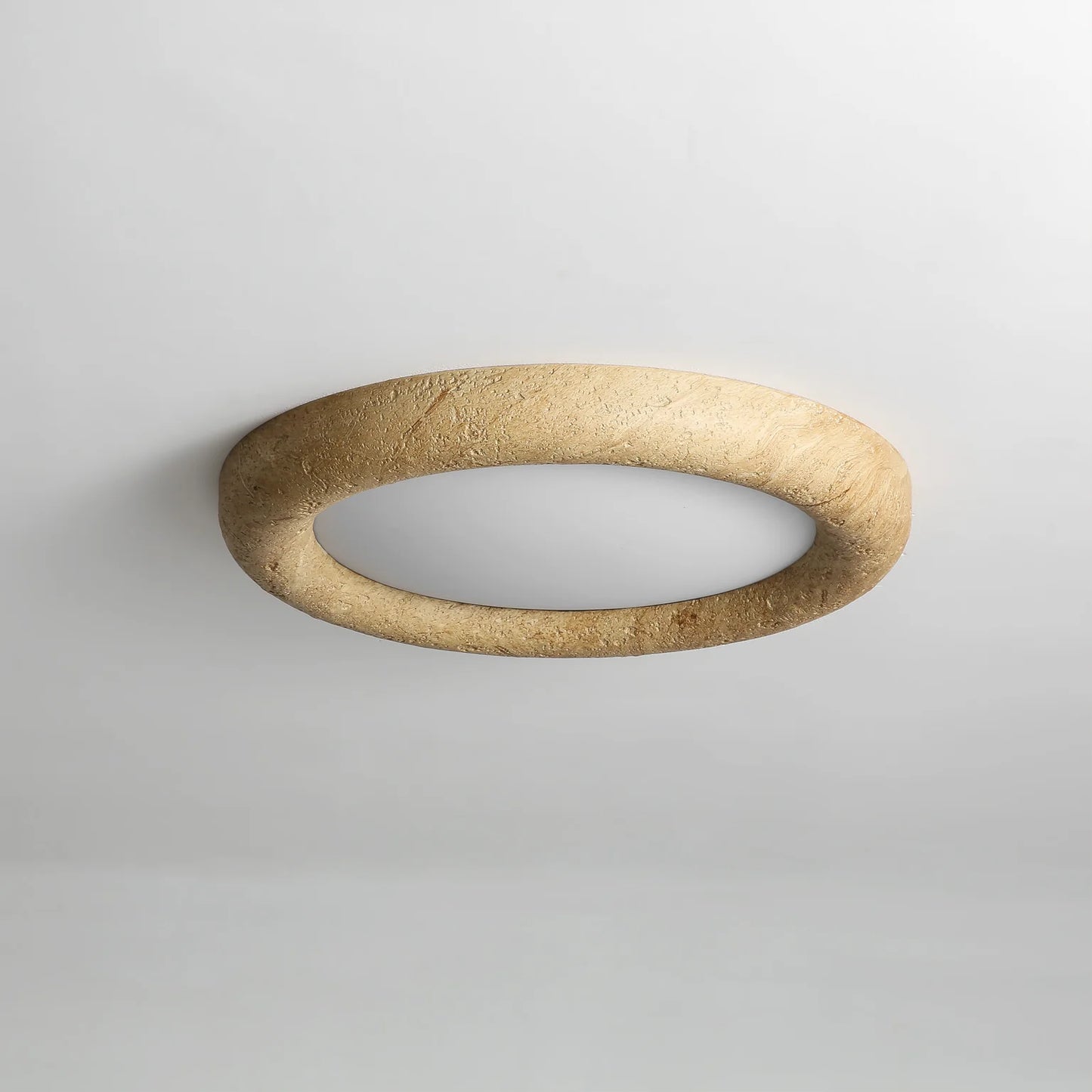 Concise Ceiling Light