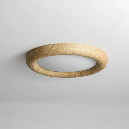 Concise Ceiling Light