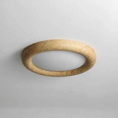 Concise Ceiling Light