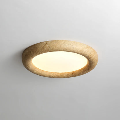 Concise Ceiling Light