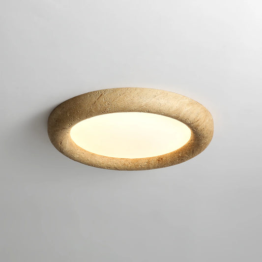 Concise Ceiling Light
