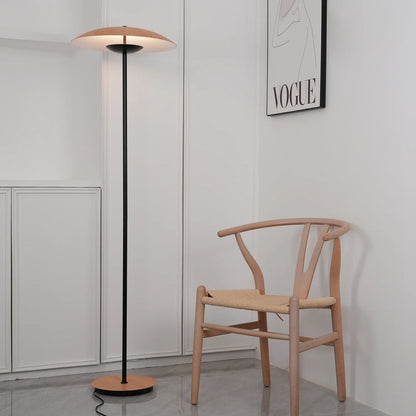 Directional Floor Lamp