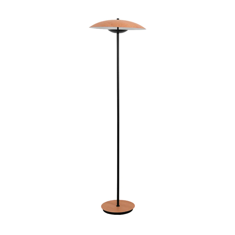 Directional Floor Lamp