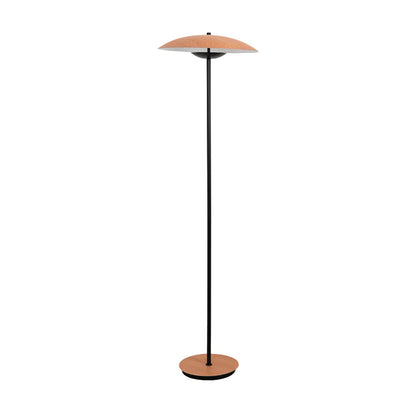 Directional Floor Lamp