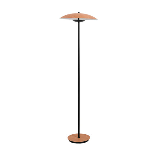 Directional Floor Lamp