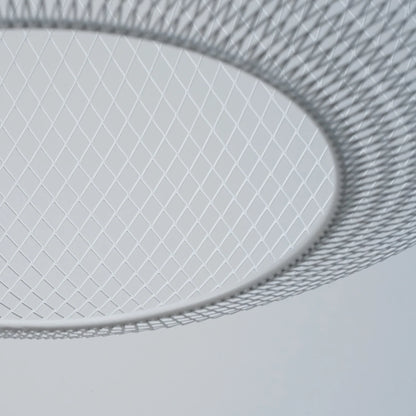 Metallic Meshwork Pendant Lamp