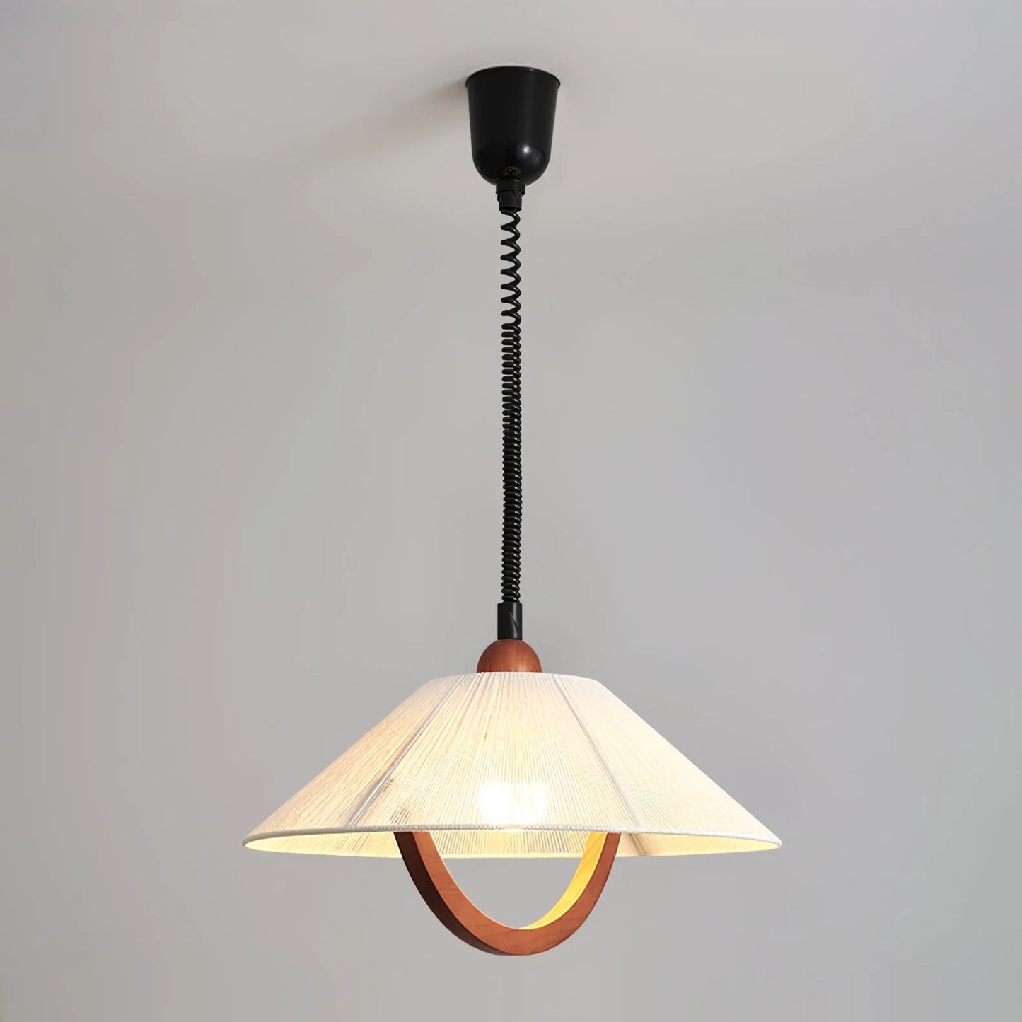 Nimbus Arc Pendant Light