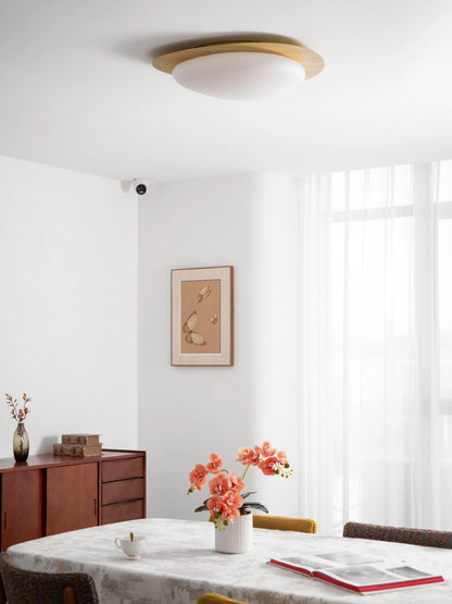 Pebble Ceiling Light