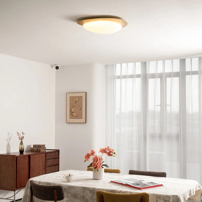 Pebble Ceiling Light