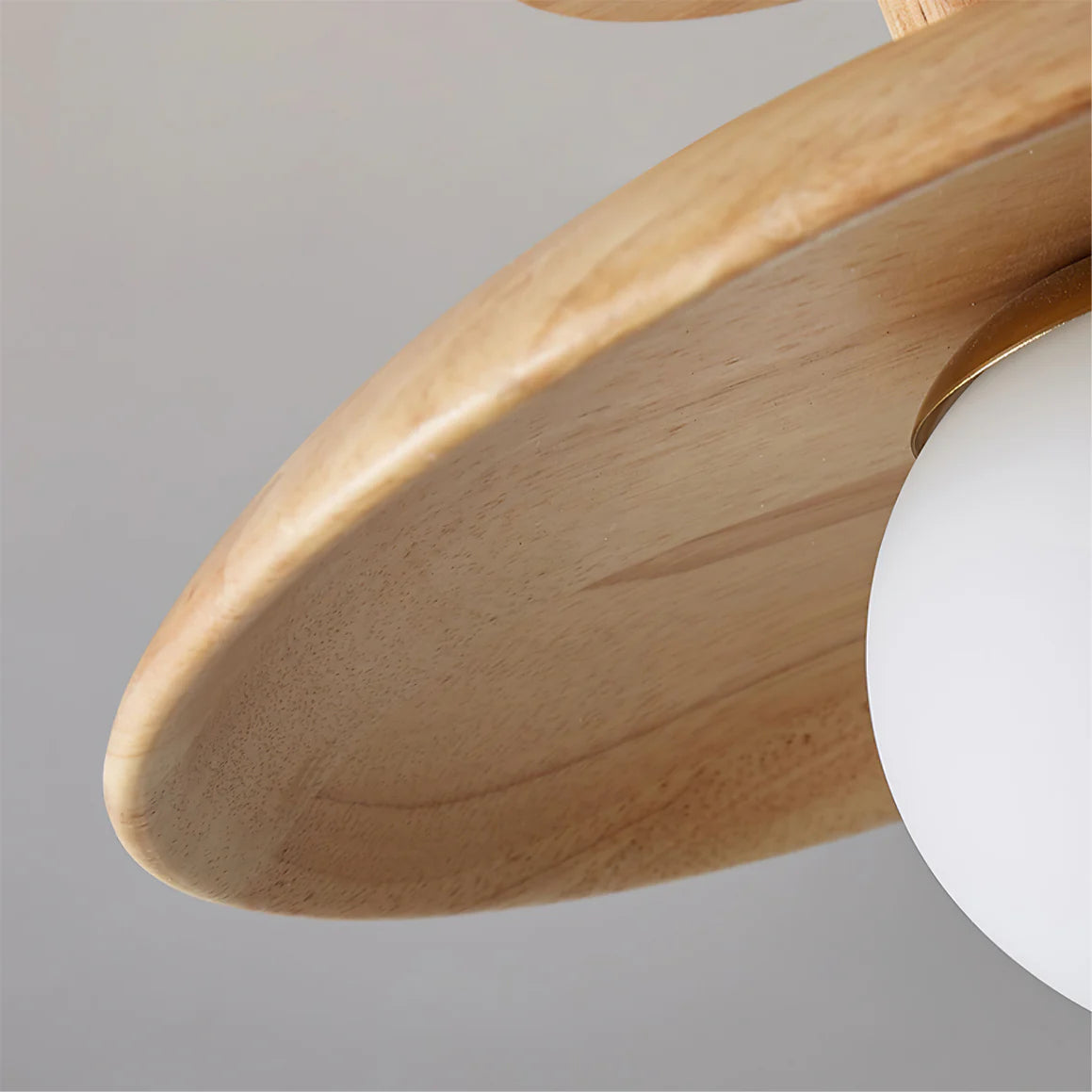 Plafon Ceiling Lamp