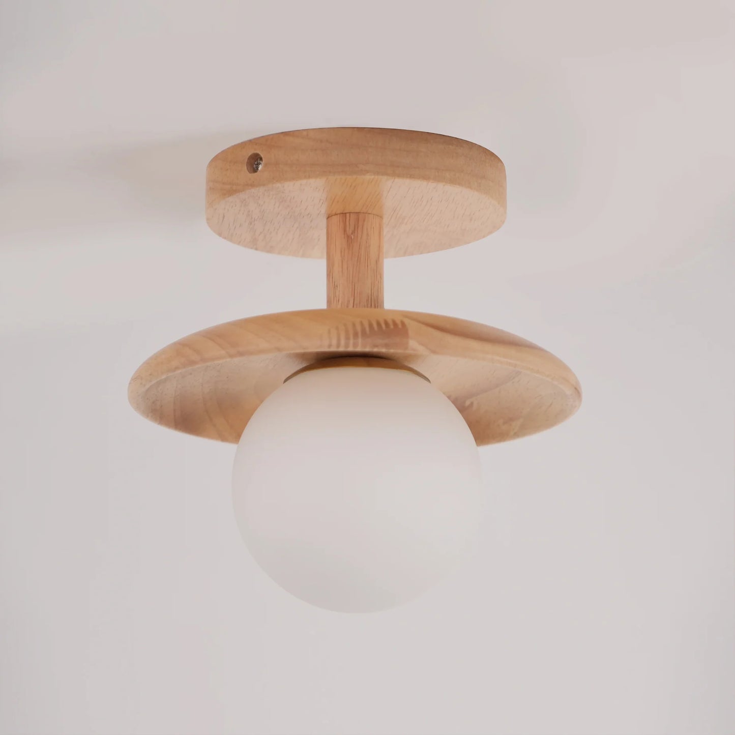 Plafon Ceiling Lamp