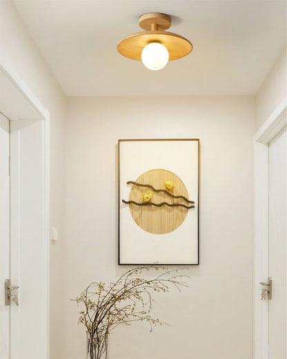 Plafon Ceiling Lamp