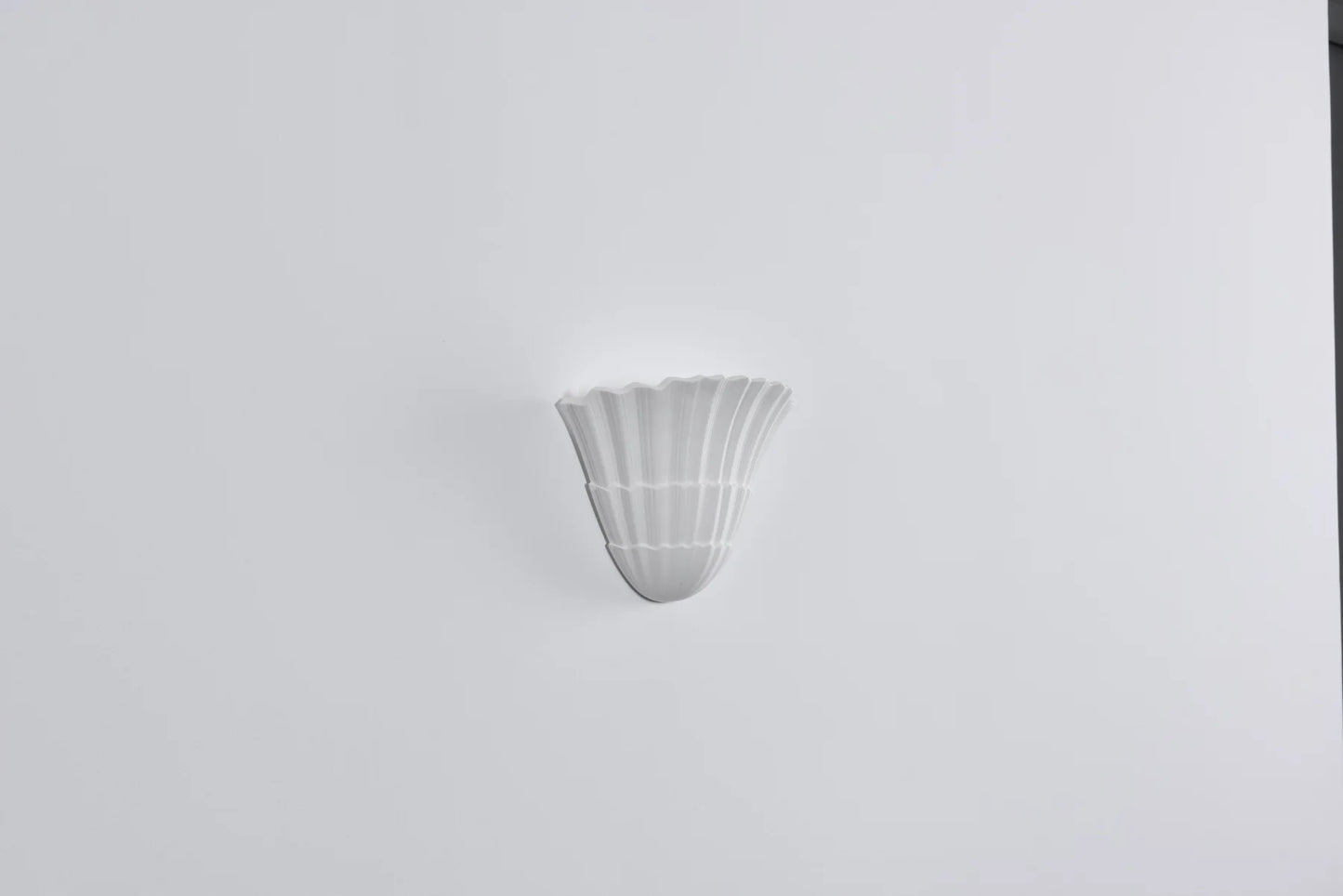 Shella Wall Light