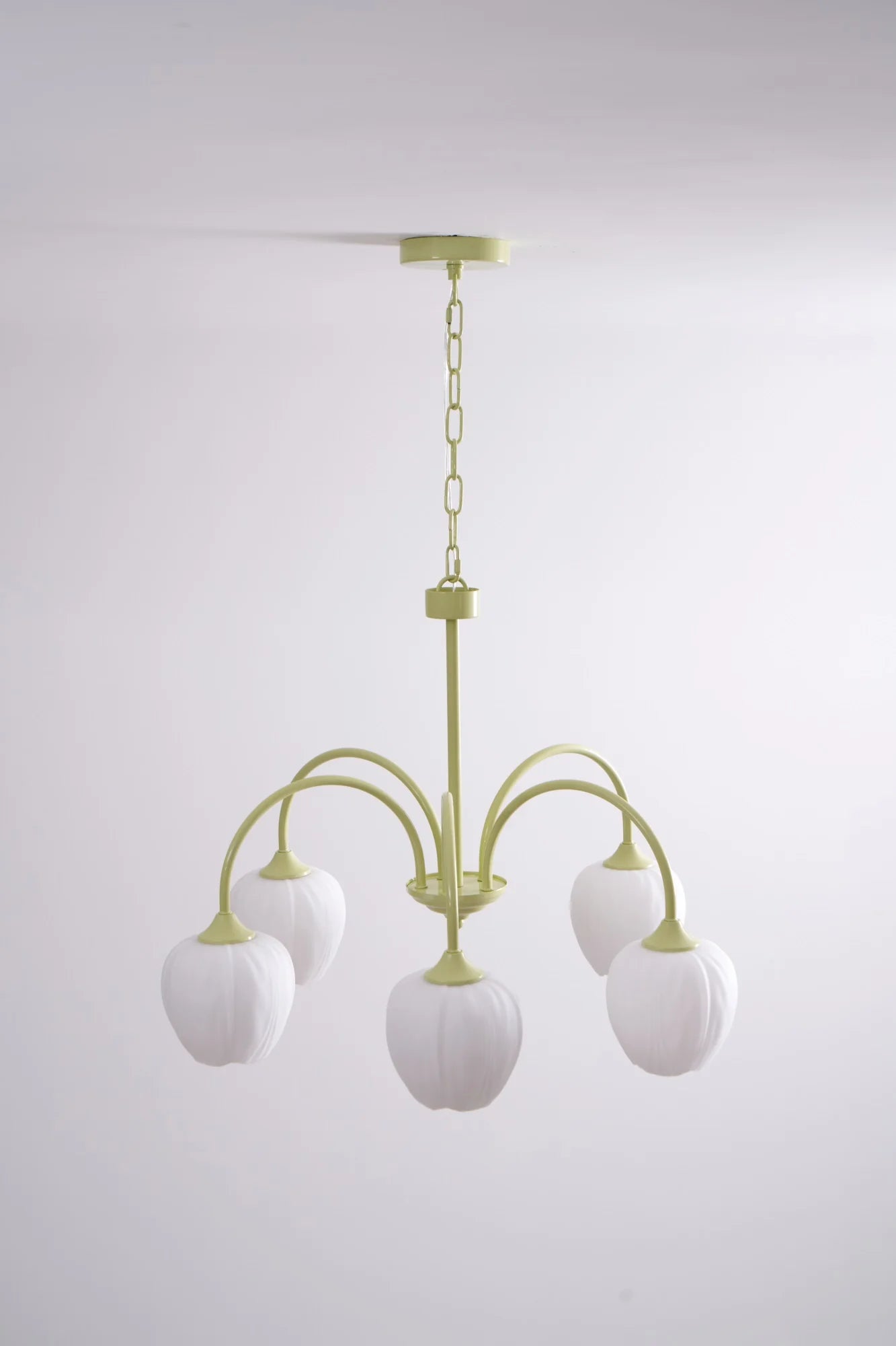 Tulip Matcha Chandelier