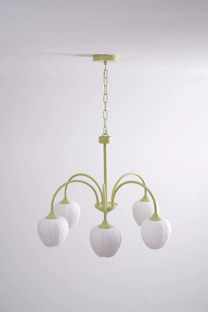Tulip Matcha Chandelier